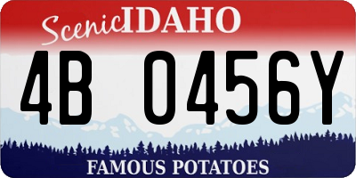 ID license plate 4B0456Y