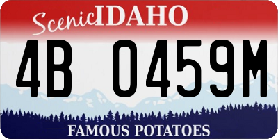 ID license plate 4B0459M