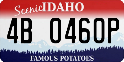 ID license plate 4B0460P