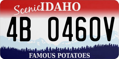 ID license plate 4B0460V