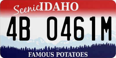 ID license plate 4B0461M