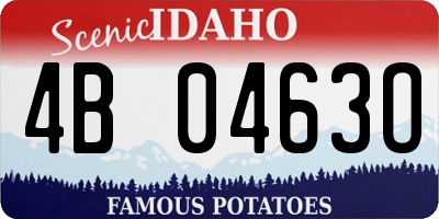 ID license plate 4B0463O