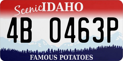 ID license plate 4B0463P