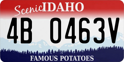 ID license plate 4B0463V