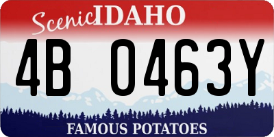 ID license plate 4B0463Y