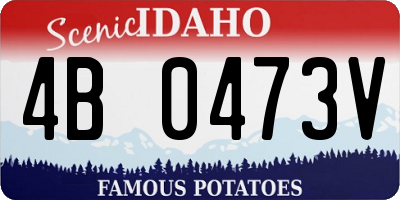 ID license plate 4B0473V