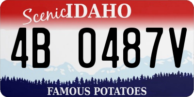 ID license plate 4B0487V