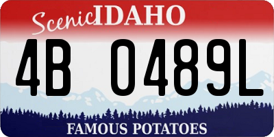 ID license plate 4B0489L