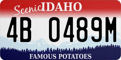 ID license plate 4B0489M