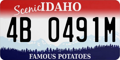 ID license plate 4B0491M