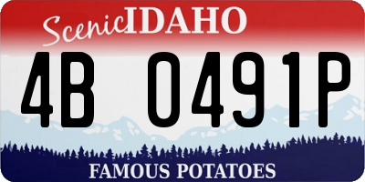 ID license plate 4B0491P