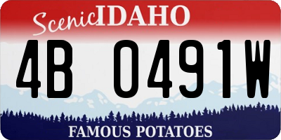 ID license plate 4B0491W