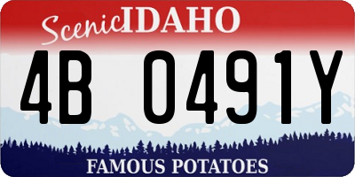 ID license plate 4B0491Y