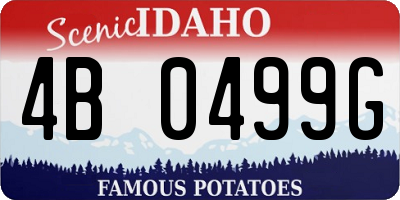ID license plate 4B0499G