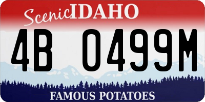 ID license plate 4B0499M