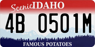ID license plate 4B0501M