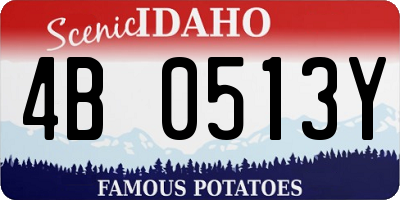 ID license plate 4B0513Y