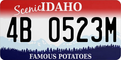 ID license plate 4B0523M