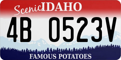 ID license plate 4B0523V