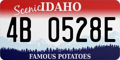 ID license plate 4B0528E