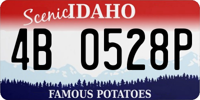 ID license plate 4B0528P