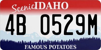 ID license plate 4B0529M