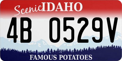 ID license plate 4B0529V
