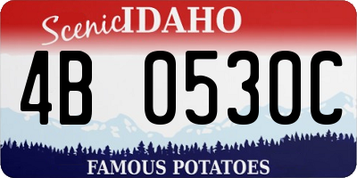 ID license plate 4B0530C