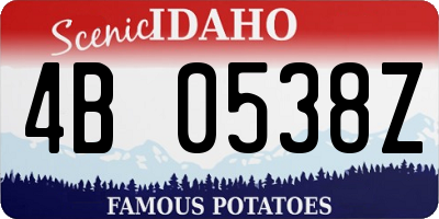 ID license plate 4B0538Z