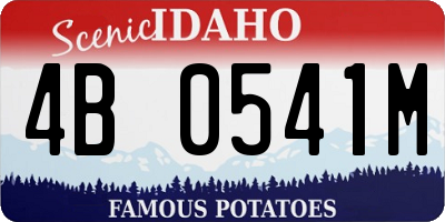 ID license plate 4B0541M