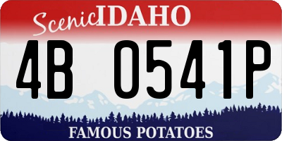 ID license plate 4B0541P