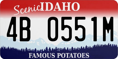 ID license plate 4B0551M