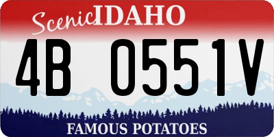 ID license plate 4B0551V