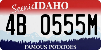 ID license plate 4B0555M