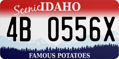 ID license plate 4B0556X