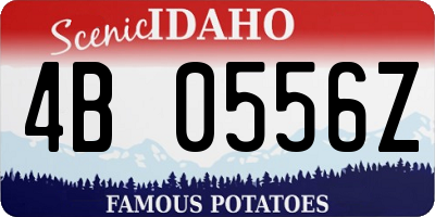 ID license plate 4B0556Z