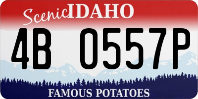 ID license plate 4B0557P