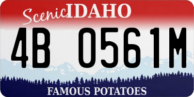 ID license plate 4B0561M