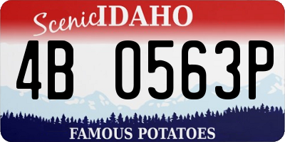 ID license plate 4B0563P