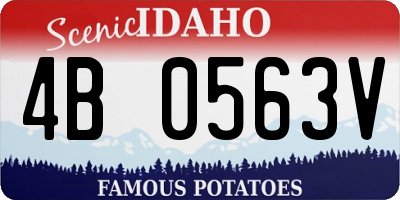 ID license plate 4B0563V
