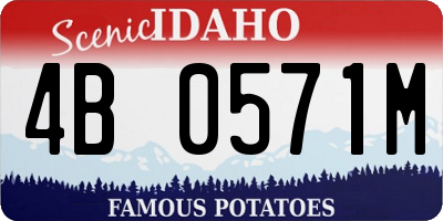 ID license plate 4B0571M