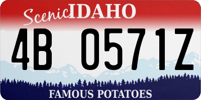 ID license plate 4B0571Z