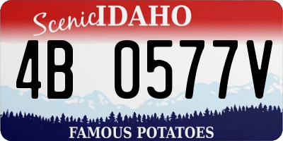ID license plate 4B0577V
