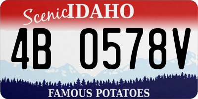 ID license plate 4B0578V