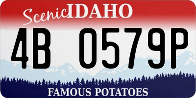 ID license plate 4B0579P