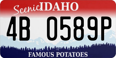 ID license plate 4B0589P