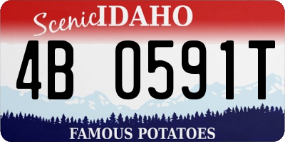 ID license plate 4B0591T