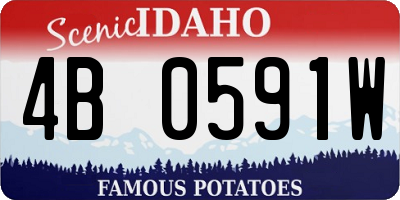 ID license plate 4B0591W