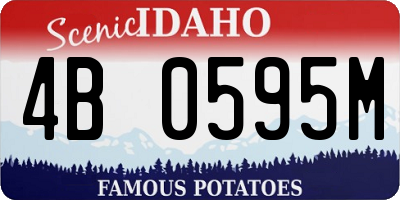 ID license plate 4B0595M