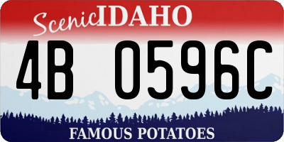 ID license plate 4B0596C